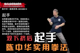 起手-陈中华一路精讲指导-20220815视频封面