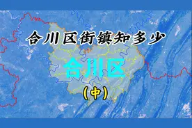 合川区轨道规划，大石、钱塘、武胜、岳池、广安这些街镇都设站。