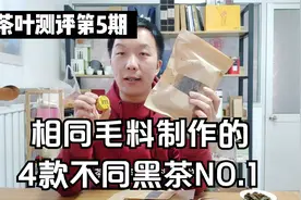 【茶叶测评Vol.5】相同毛料制作的4款安化黑茶测评比对视频封面