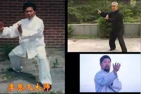 陈氏洪均生宗师亲传弟子李储功 李恩久 陈中华先生推手实战视频封面