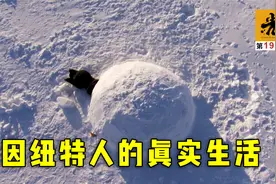 味太大，一年只发一次！因纽特人躲石缝里抓海雀，腌3个月后再吃视频封面