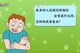 臭虫咬人后被咬的部位会变成什么样，怎样彻底杀臭虫视频封面