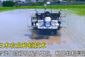 日本农业种植技术，智能化微耕机无处不在，农民种地轻松高效！视频封面
