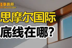 被严重低估和错杀，思摩尔国际，电子烟龙头，超猛，关键估值很低视频封面