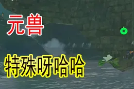 【元兽解说】特殊呀哈哈 08——海利亚大桥黄花 NS塞尔达旷野之息