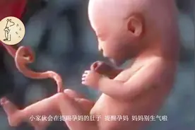 怀孕期间，孕妈多吃这3种食物，补充蛋白质让胎儿大脑发育更发达视频封面