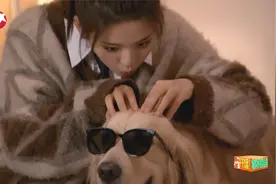 开播情景喜剧：倪虹洁变身KPI女魔头，杨超越给狗狗做SPA？视频封面