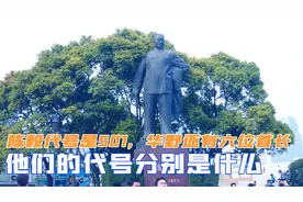 陈毅代号是501，华野还有六位首长，他们的代号分别是什么视频封面