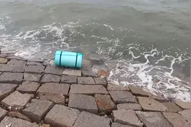风浪天海草全被卷上岸，里面竟然还有绝种生物，可大可小太神奇了视频封面