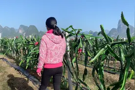 广西24岁农村姑娘相亲多次没成功，听听她想要多少彩礼，算多吗？视频封面