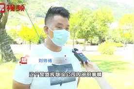 公司内部调查，未结算司机运费两年多？ 盛辉物流：要司机承诺书视频封面