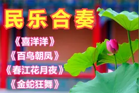 民乐合奏经典《喜洋洋》《百鸟朝凤》《春江花月夜》《金蛇狂舞》