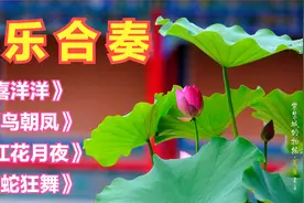 民乐合奏经典《喜洋洋》《百鸟朝凤》《春江花月夜》《金蛇狂舞》