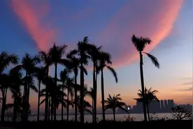 坚果英语--口语宝典--经典对话 帮助一名病人 Helping a patient