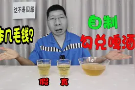 几毛钱勾兑出来的科技啤酒 VS 超市3元一瓶啤酒，有什么区别呢？视频封面