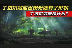 "达利园"效应是什么？当丁达尔效应出现，时光就有了形状！视频封面