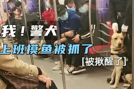警犬上班偷懒，被人围观，孩子委屈哭了视频封面