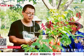 山西卫视《奋斗吧 老乡》第三期《青春撑起小村梦》视频封面