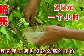 农村20块钱一小时的手工活，男女老少都能干，为什么很多人不愿干视频封面