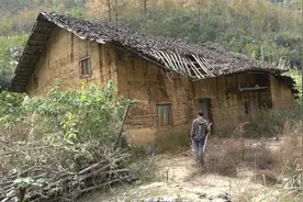 广西深山发现一无人村，百亩田地杂草丛生无人种，村民为何离开了视频封面