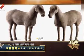 汉阳陵出土大量文物，不仅有排列密集的武士俑群，还有陶制动物？视频封面