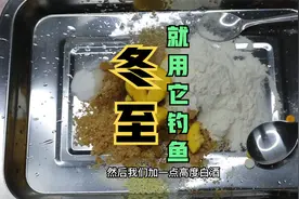 自制超浓腥味的高蛋白鱼饵，适合在冬至以后野钓中逗钓鲫鱼视频封面