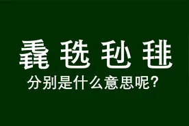 “毳”“掱”“毨”“毴”怎么读？什么意思？视频封面