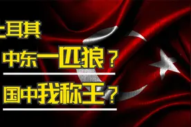 中东哈士奇有多离谱，土耳其迫使中国人修建了长城？姜文直呼内行视频封面