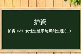 护资 061 女性生殖系统解剖生理(二)【转载】视频封面