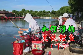 带我黑坑吧·第四十期《仔细教您鲤鱼打浮，为啥不建议去尝试？》视频封面