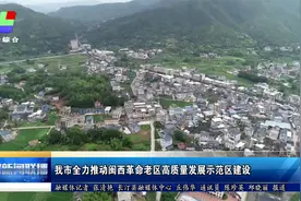 龙岩市全力推动闽西革命老区高质量发展示范区建设视频封面