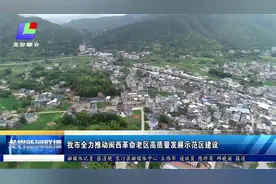 龙岩市全力推动闽西革命老区高质量发展示范区建设视频封面