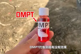 DMPT是什么？DMPT夏季钓鱼到底有没有效果？水下测试告诉你答案！视频封面