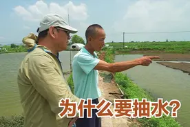 小龙虾养殖户：高效捕捉小龙虾，只需一步，端午节等着大丰收！视频封面