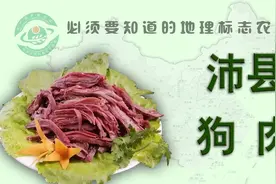 国家地理标志保护产品—沛县狗肉视频封面
