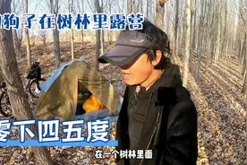 骑行宁夏，零下四五度和狗子在树林露营，一夜寒风树叶全落了视频封面