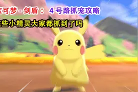 宝可梦剑盾：这里有皮卡丘和伊布哦，4号路小精灵抓捕攻略详解视频封面