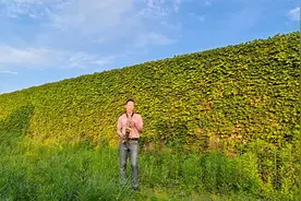 《一帘幽梦》唯美怀旧：悠悠的萨克斯风让人重回纯情、浪漫的年代视频封面