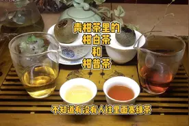 新兴茶种小新柑，其实还可以塞白茶和红茶，比塞普洱茶好喝100倍