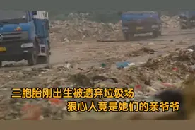 三胞胎刚出生被丢垃圾场，狠心人却是亲爷爷，父母对此还毫不知情视频封面