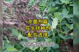 农资微视频149：花生防死苗拌种剂配方选择，杀菌剂篇视频封面