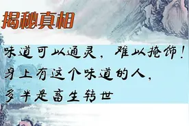 味道可以通灵，难以掩饰！身上有这个味道的人，多半是畜生转世视频封面