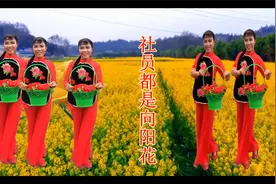 革命红歌广场舞《社员都是向阳花》难忘的旋律，勾起多少人的回忆视频封面