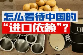 依赖进口资源可怕吗？我们从四个主要进口商品谈起【宁南山】视频封面