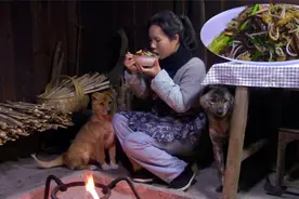 立春了，炒一锅合菜“咬春”，把春天各种鲜味儿一网打尽，太好吃视频封面