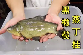 丁桂鱼这样做才好吃，肉质细腻嫩滑，制作简单易上手，快学起来吧