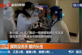 女子摸狗未洗手，眼内长两厘米线虫，要给宠物定期驱虫！视频封面