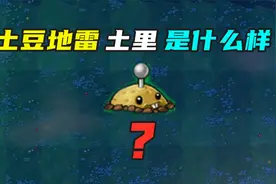 植物大战僵尸：揭秘！土豆地雷土里面是什么样子？视频封面