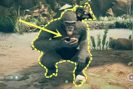 先祖：椰子的第二种吃法，吃完后发现还有神奇的功效