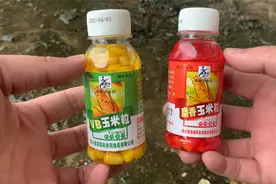 钓大鱼麝香玉米和VB玉米，哪款味型更好用？水下摄像机为你揭秘！视频封面